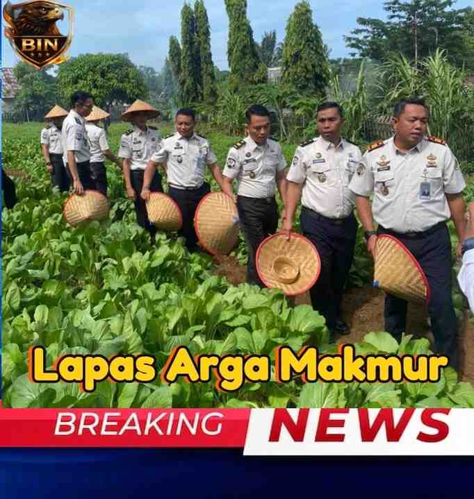 Dukung Program Kemenimipas, Lapas Arga Makmur Kelas II B Sukses Ketahanan Pangan Lewat Pertanian hingga Peternakan