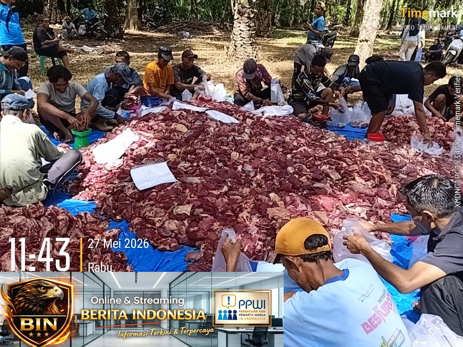 Lubuk Sanai I Kecamatan XIV Koto Sembelih 34  Sapi dan 10 Kerbau pada Idul Adha 1447 H
