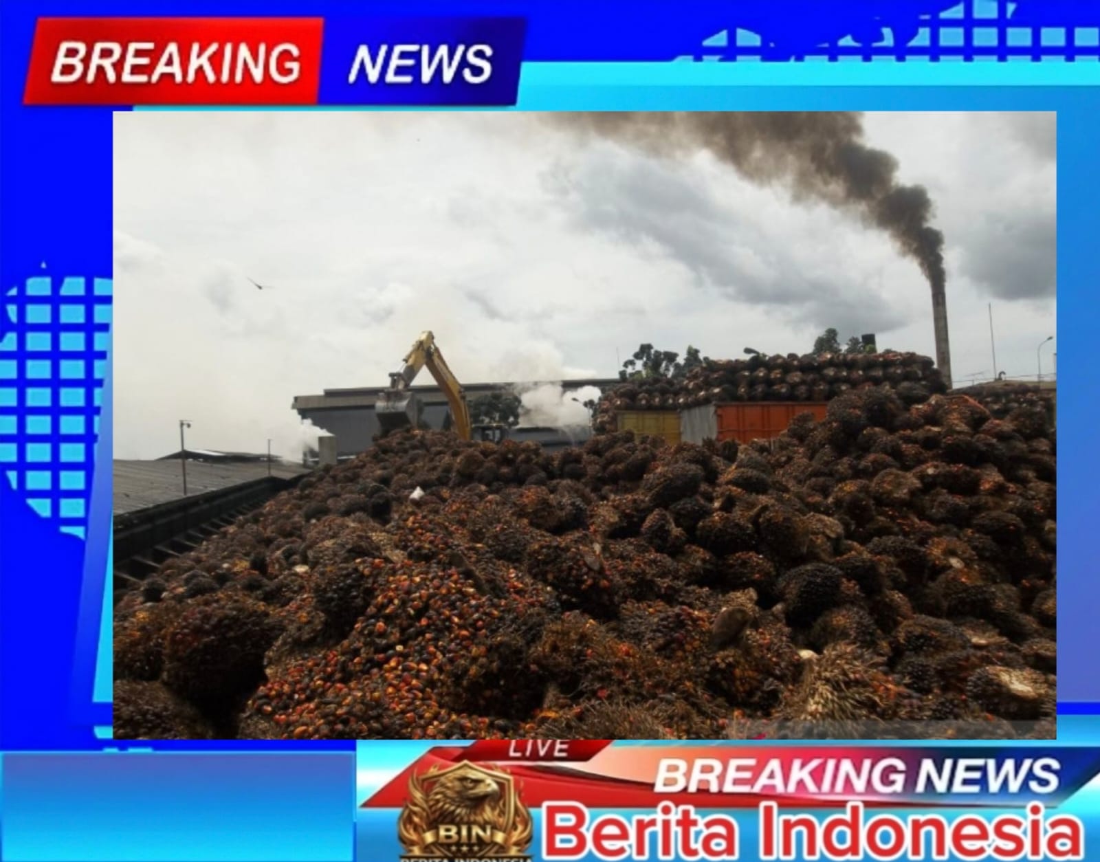 Petani Keluhkan Potongan TBS di Pabrik  PT. KSM Capai 7 hingga 9 Persen