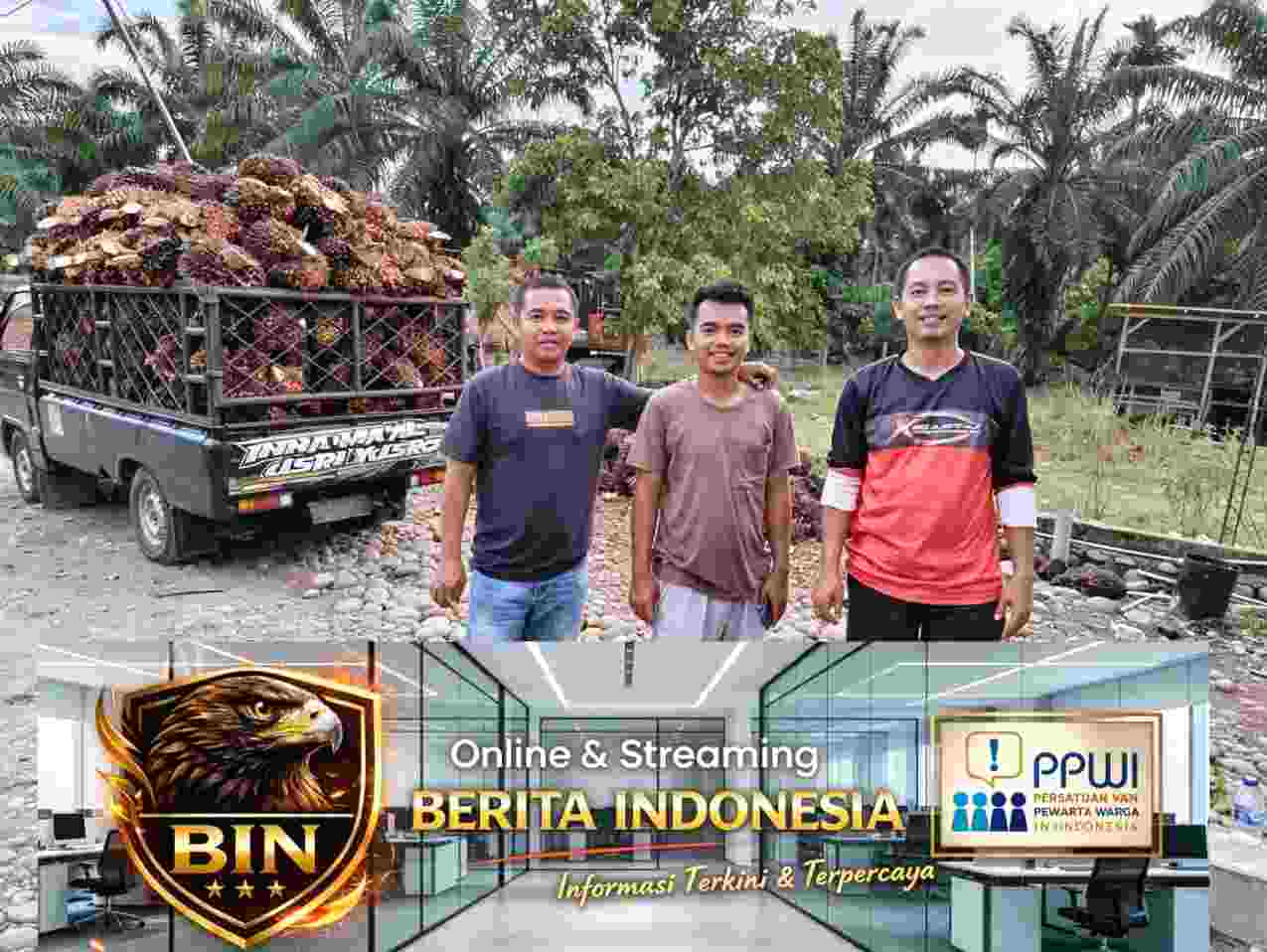 https://binberitaindonesia.my.id/blog/harga-kelapa-sawit-di-mukomuko-mayoritas-bertahan-stabil