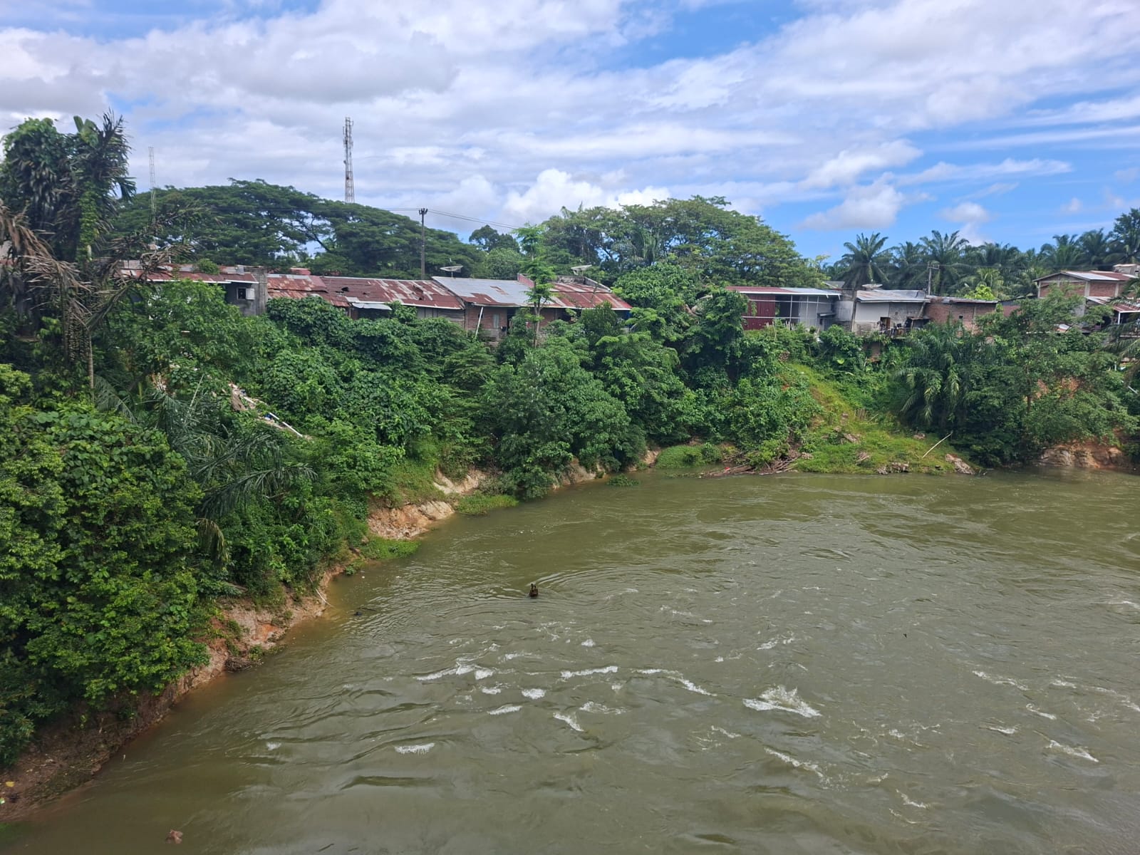 Perumahan Warga Lubuk Gedang Terancam Erosi Sungai Manjunto